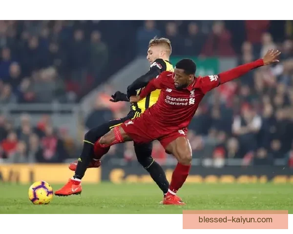 欧洲杯高温考验下球队体能状态堪忧，备受关注的表现或将受到影响